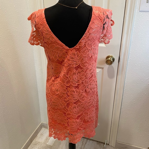 BB DAKOTA women’s Rene scallop lace shirt dress - Picture 9 of 15